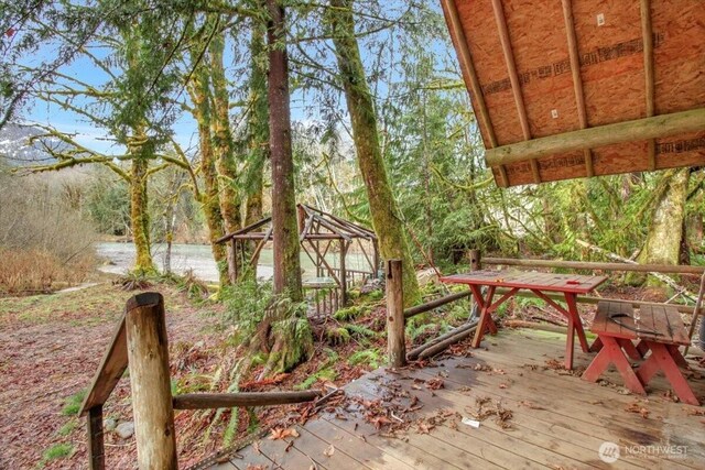 30600 412th Dr NE, Arlington, WA 98223 - photo 24