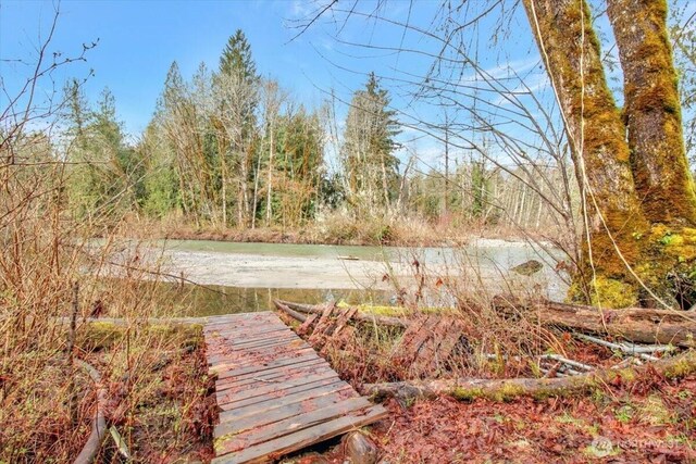 30600 412th Dr NE, Arlington, WA 98223 - photo 29