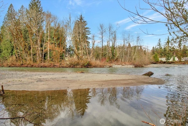 30600 412th Dr NE, Arlington, WA 98223 - photo 30