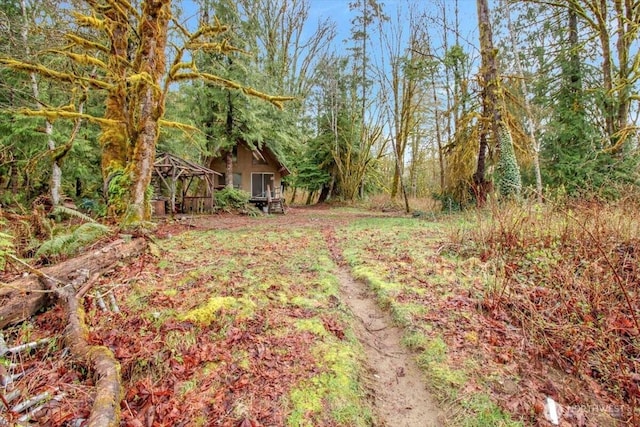 30600 412th Dr NE, Arlington, WA 98223 - photo 31