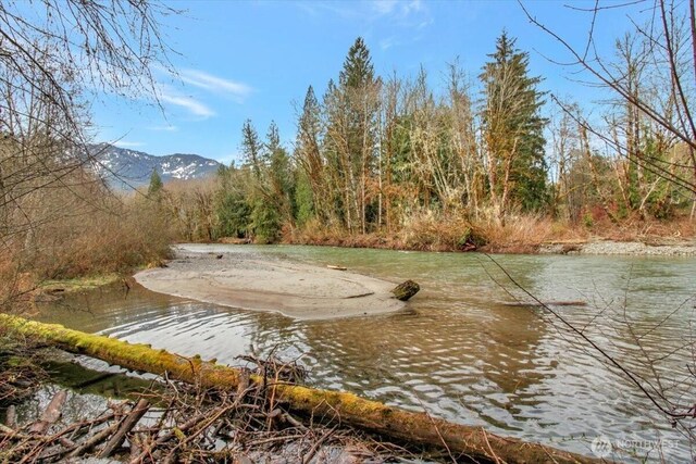 30600 412th Dr NE, Arlington, WA 98223 - photo 32