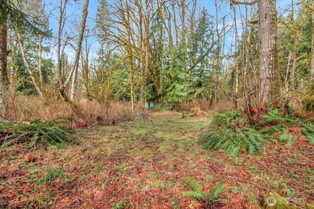 30600 412th Dr NE, Arlington, WA 98223 - photo 36