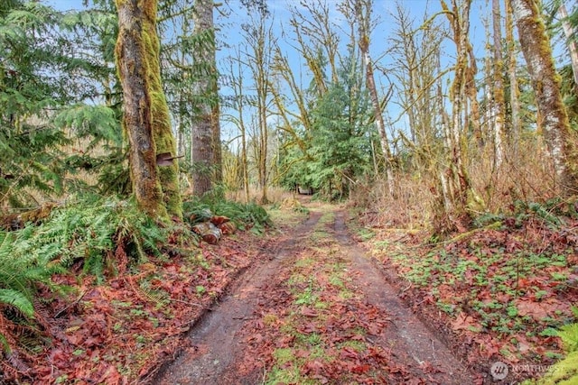 30600 412th Dr NE, Arlington, WA 98223 - photo 37