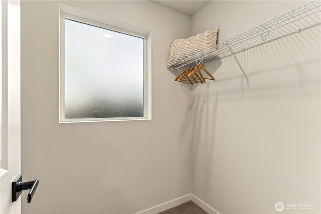 view of walk in closet