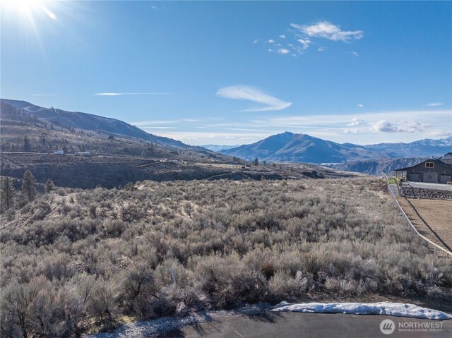 71 Corral Creek Dr, Orondo, WA 98051