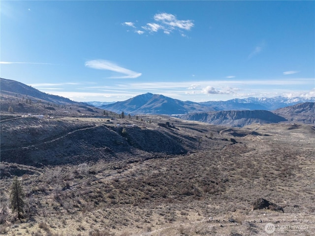 71 Corral Creek Dr, Orondo, WA 98051