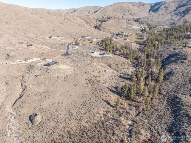 71 Corral Creek Dr, Orondo, WA 98051