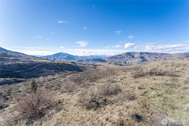 71 Corral Creek Dr, Orondo, WA 98051