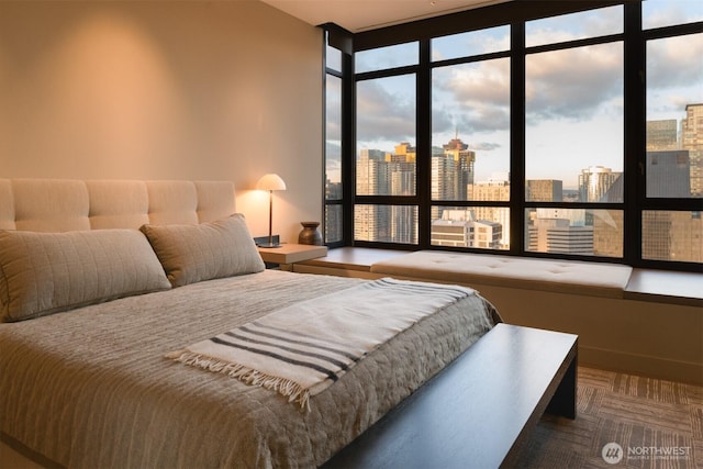 2125 1st Ave Unit 3202, Seattle, WA 98121 - bedroom with a view of city