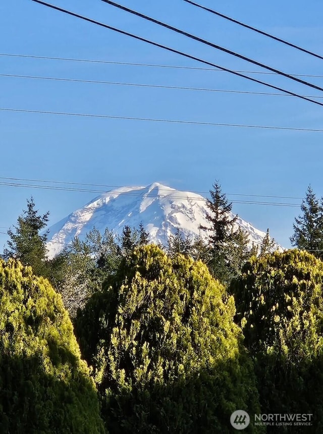 mountain view