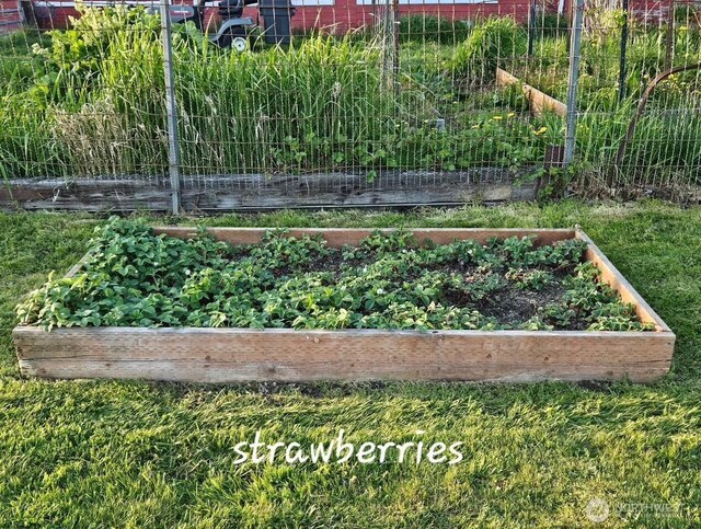 view of yard featuring a vegetable garden