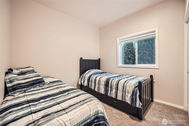 12418 Clear Lake N Rd E, Eatonville, WA 98328 - photo 23