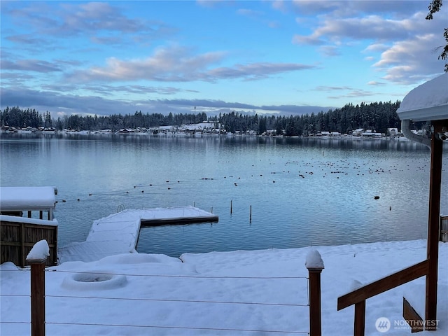 12418 Clear Lake N Rd E, Eatonville, WA 98328 - photo 30
