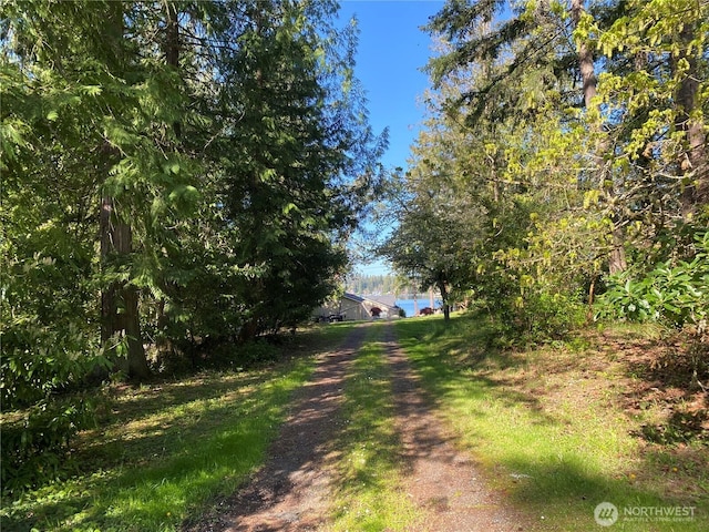 12418 Clear Lake N Rd E, Eatonville, WA 98328 - photo 28