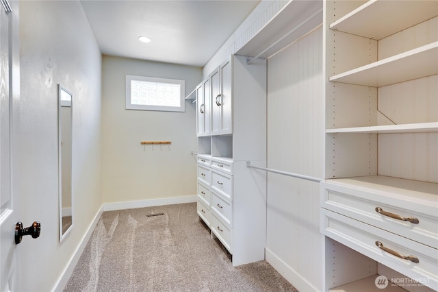 spacious closet featuring light colored carpet