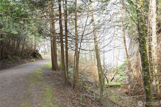 view of road
