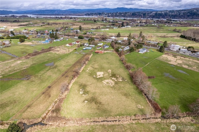 77 S Welcome Slough, Cathlamet, WA 98612 - birds eye view of property with a mountain view and a rural view