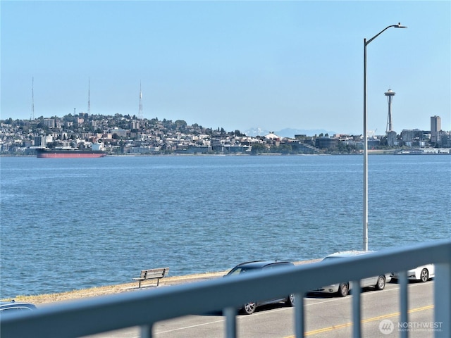1156 Alki Ave SW Unit 204, Seattle, WA 98116 - property view of water with a city view