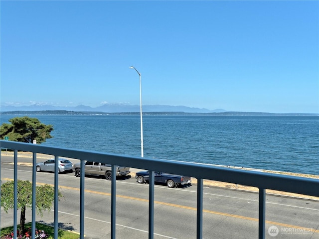 1156 Alki Ave SW Unit 204, Seattle, WA 98116 - property view of water with a mountain view