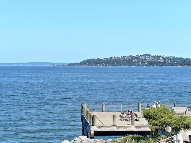 1156 Alki Ave SW Unit 204, Seattle, WA 98116 - view of dock with a water view