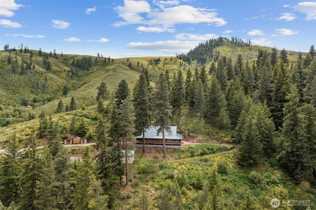9381 Olalla Cayon Rd, Cashmere, WA 98813 - view of mountain background featuring a forest