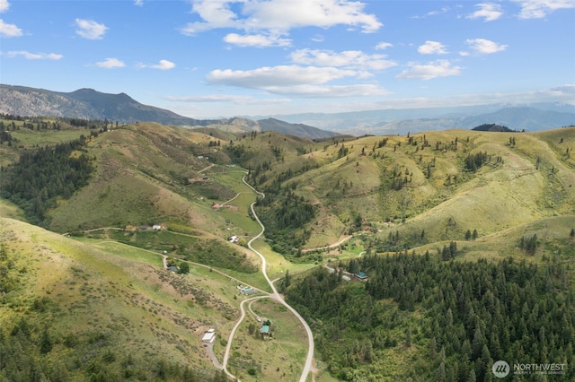 9381 Olalla Cayon Rd, Cashmere, WA 98813 - view of mountain backdrop