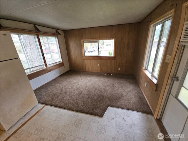 unfurnished room with wooden walls, healthy amount of natural light, and light carpet