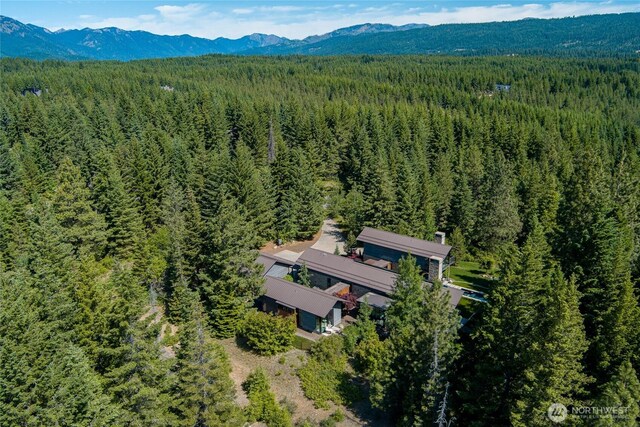 260 Blue Flame Ln, Cle Elum, WA 98922 - photo 3