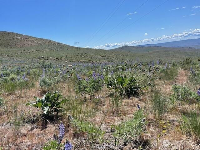 0LOT59 Bill Shaw Rd, Pateros, WA 98834