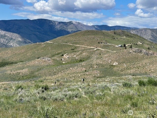 0LOT59 Bill Shaw Rd, Pateros, WA 98834