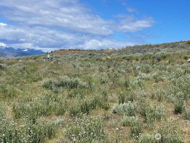 0LOT59 Bill Shaw Rd, Pateros, WA 98834
