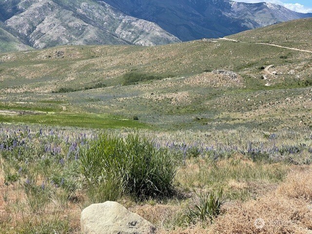 0LOT59 Bill Shaw Rd, Pateros, WA 98834