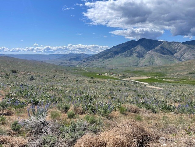 0LOT59 Bill Shaw Rd, Pateros, WA 98834