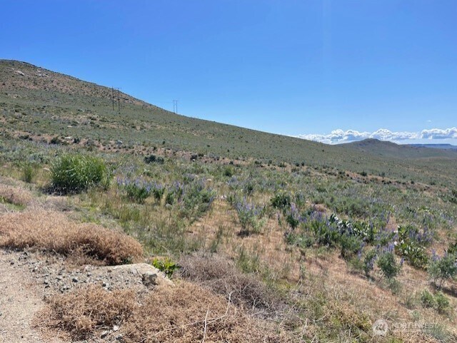 0LOT59 Bill Shaw Rd, Pateros, WA 98834