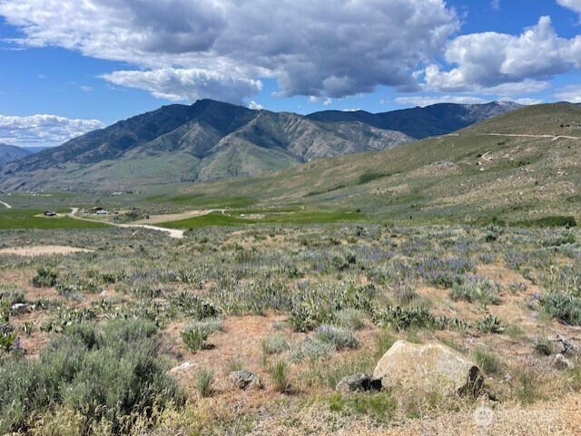 0LOT59 Bill Shaw Rd, Pateros, WA 98834