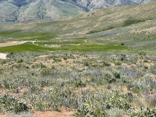 0LOT59 Bill Shaw Rd, Pateros, WA 98834