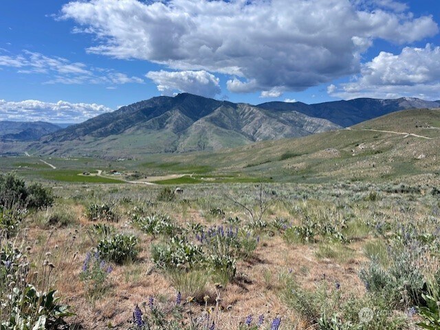 0LOT59 Bill Shaw Rd, Pateros, WA 98834
