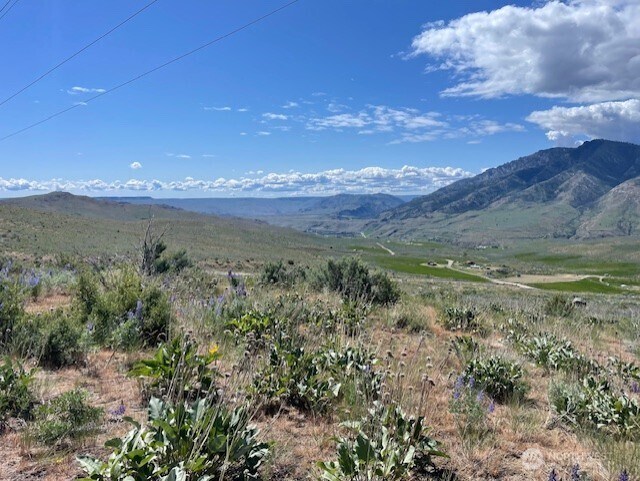 0LOT59 Bill Shaw Rd, Pateros, WA 98834