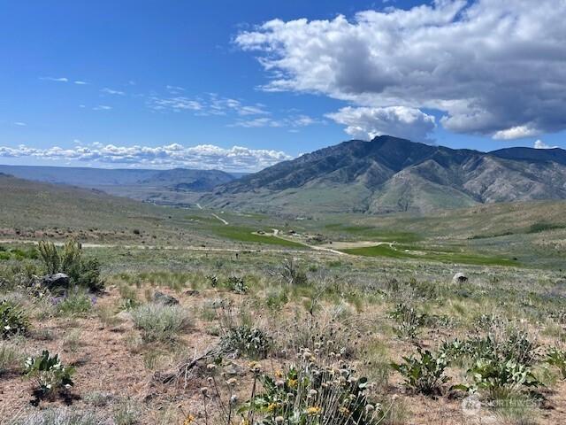 0LOT59 Bill Shaw Rd, Pateros, WA 98834