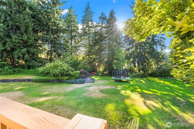11312 134th Avenue Ct E, Puyallup, WA 98374 - photo 34