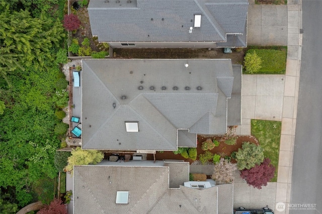 bird's eye view