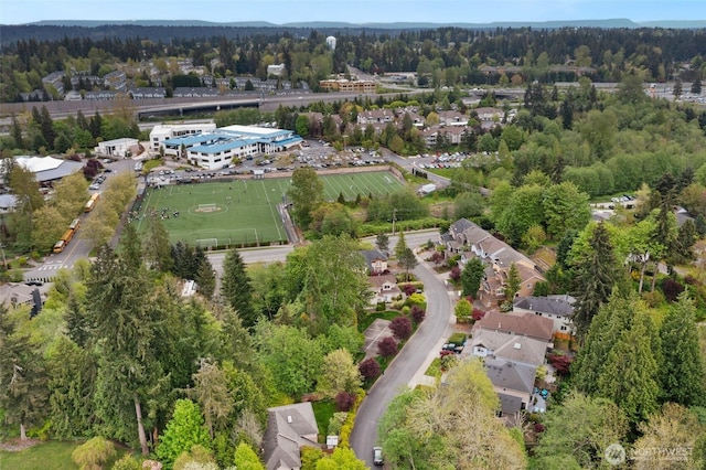 aerial view
