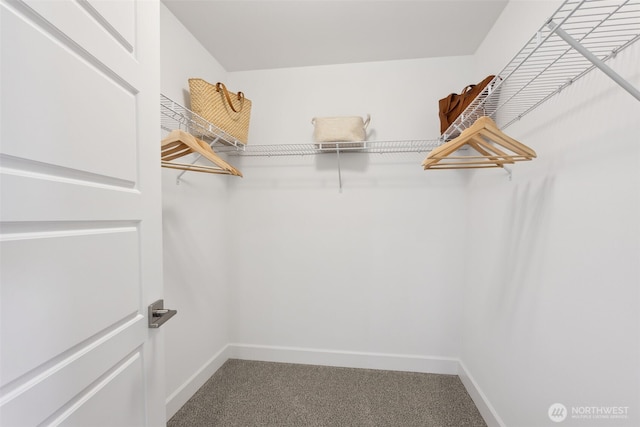5842 229th Ave E, Buckley, WA 98321 - spacious closet with carpet