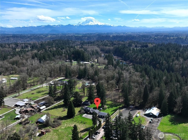 16005 SE Lake Holm Rd, Auburn, WA 98092 - aerial view with a mountain view and a forest view