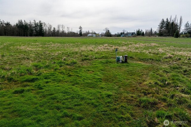 9790 Peace Rd, Blaine, WA 98230 - photo 12