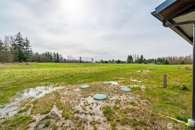 9790 Peace Rd, Blaine, WA 98230 - photo 13