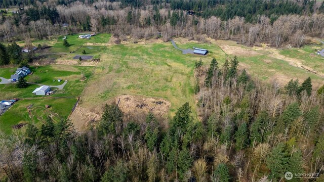 9790 Peace Rd, Blaine, WA 98230 - photo 21
