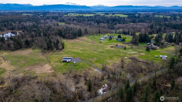 9790 Peace Rd, Blaine, WA 98230 - photo 24