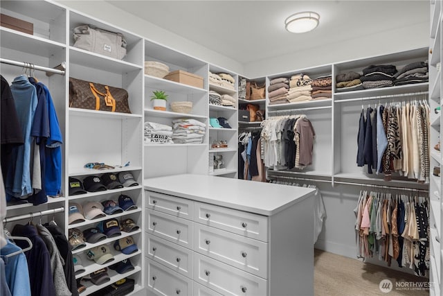 11230 SE 76th Pl, Newcastle, WA 98056 - view of walk in closet