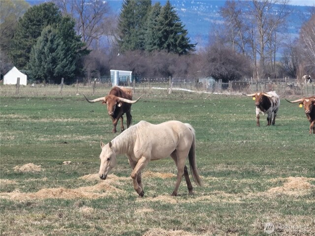 2149X7 Brick Mill Rd, Ellensburg, WA 98926